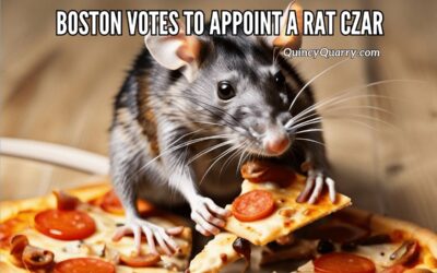 Boston Votes To Appoint A Rat Czar
