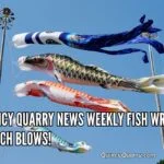 Quincy Quarry News Weekly Fish Wrap: March Blows! fish-wrap-march-blowsquincyquarrycm