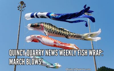 Quincy Quarry News Weekly Fish Wrap: March Blows!