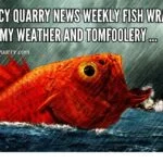 Quincy Quarry News Weekly Fish Wrap: Stormy Weather and Tomfoolery ... weekly-fish-wrap-stormy-weather-and-tomfooleryquincyquarrycom