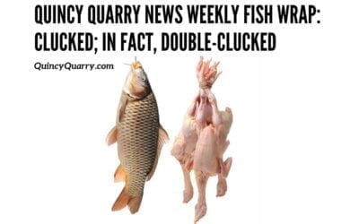 Quincy Quarry News Weekly Fish Wrap: Clucked; in fact, double-clucked!
