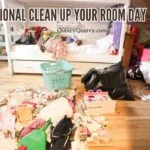 National Clean Up Your Room Day Is Today! national-clean-up-your-room-dayquincyquarrycom