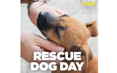 National Rescue Dog Day Is Today!