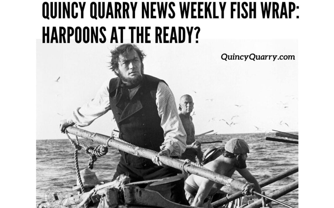 Quincy Quarry News Weekly Fish Wrap: Harpoons At The Ready?