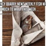 Quincy Quarry News Weekly Fish Wrap: Not Much To Wrap This Week ... fish-wrap-not-much-to-wrap-this-weekquincyquarrycom