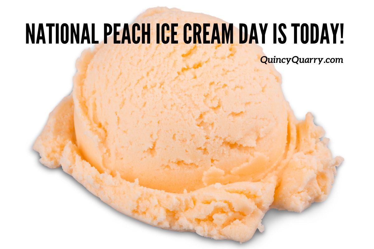 Quincy News National Peach Ice Cream Is Today!