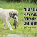 Quincy Quarry News Weekly Fish Wrap: Dogging It! fish-wrap-dogging-itquincyquarrycom