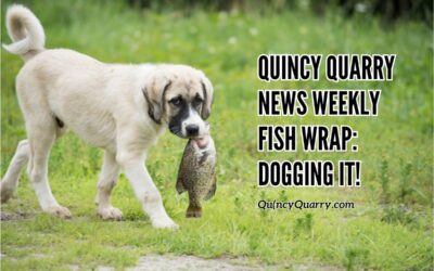 Quincy Quarry News Weekly Fish Wrap: Dogging It!