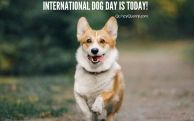 #International Dog Day Is Today!