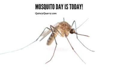 Mosquito Day Is Today!