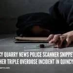 scanner-snippets--quincy-point-odquincyquarrycom