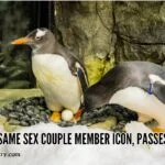 Sphen, Same Sex Couple Member Icon, Passes Away sphen-the-penguinquincyquarrycom
