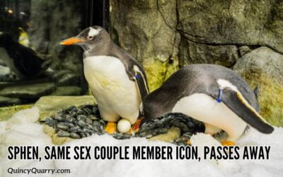 Sphen, Same Sex Couple Member Icon, Passes Away