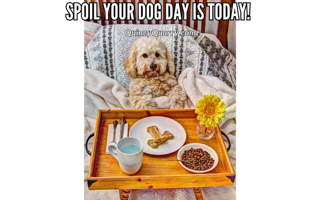 Spoil Your Dog Day Is Today!