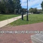 Yet Another #CityHall #BaldSpot Reseed #Cover-up Attempt city-hall-bald-spot-reseed-cover-upquincyquarrycom