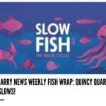 fishwrap-gets-the-slowsquincyquarrycom | Quincy News About Quincy Massachusetts