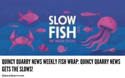 #QuincyQuarryNews #Weekly Fish Wrap: Quincy Quarry News Gets The Slows