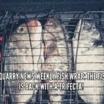 #QuincyQuarryNewsWeeklyFishWrap: The Fish Wrap Is Back With A #Trifecta! the-fishwrap-is-back-trifectaquincyquarrycom