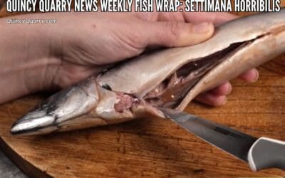 Quincy Quarry News #WeeklyFishWrap: Settimana Horribilis …