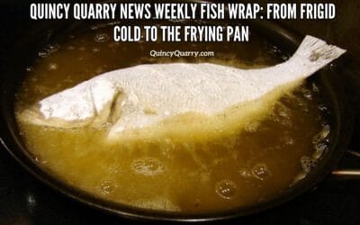 Quincy Quarry News Weekly Fish Wrap: From Frigid Cold To The Frying Pan!