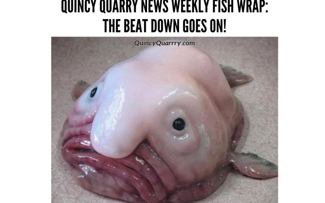 Quincy Quarry News Weekly Fish Wrap: The Beat Down Goes On