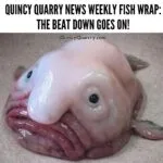 Quincy Quarry News Weekly Fish Wrap: The Beat Down Goes On weekly-fish wrap-the-beat-down-goes-onquincy-quarrycom