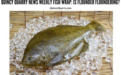 #QuincyQuarryNews #WeeklyFishWrap: Is Flounder Floundering?