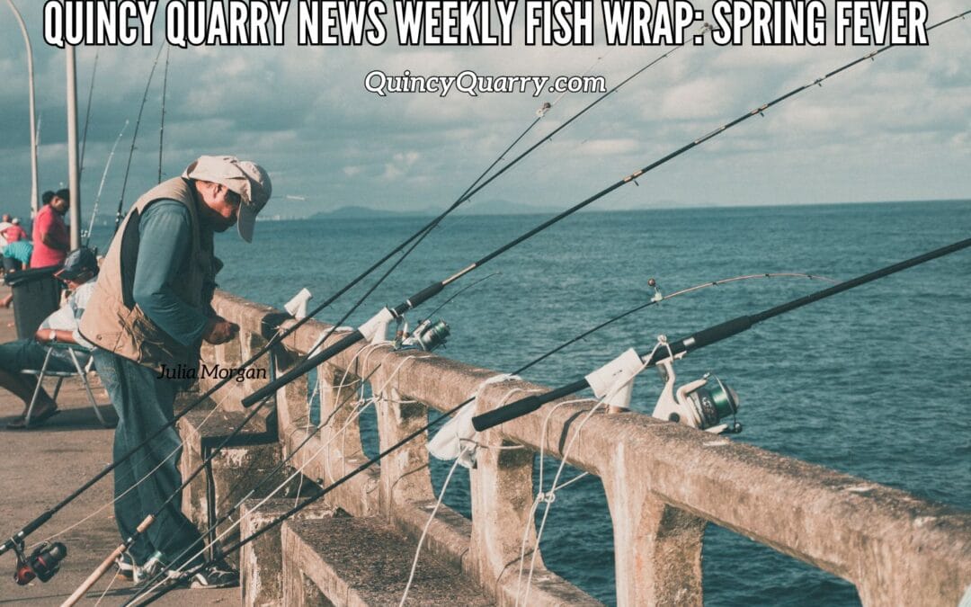 #QuincyQuarryNews #WeeklyFishWrap: Spring Fever!