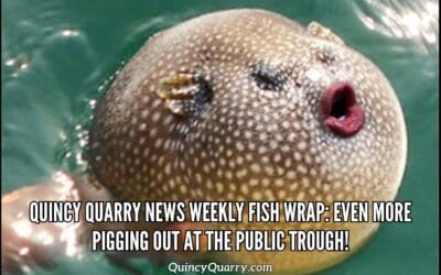 #QuincyQuarryNews #WeeklyFishWrap: Even More #PiggingOutAtThePublicTrough!