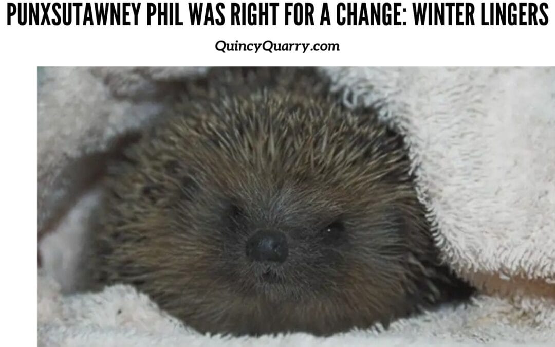 #PunxsutawneyPhil Was Right for A Change: Winter Lingers In New England