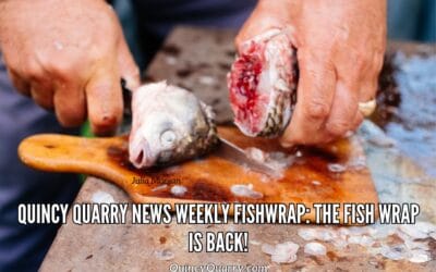 #QuincyQuarryNews #WeeklyFishWrap: The Fish Wrap Is Back!
