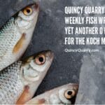  | Quincy News