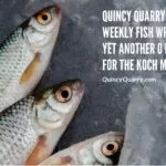 | quincy news