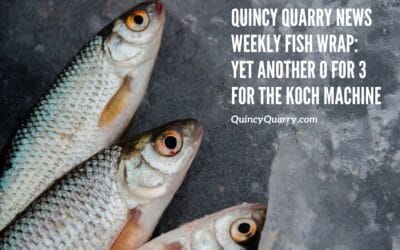 #QuincyQuarryNews #WeeklyFishWrap: Yet Another 0 For 3 For The Koch Machine!