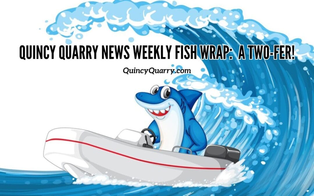 #QuincyQuarryNews #WeeklyFishWrap: A Two-fer!