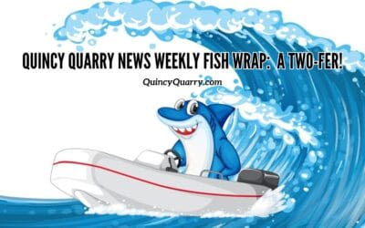#QuincyQuarryNews #WeeklyFishWrap: A Two-fer!
