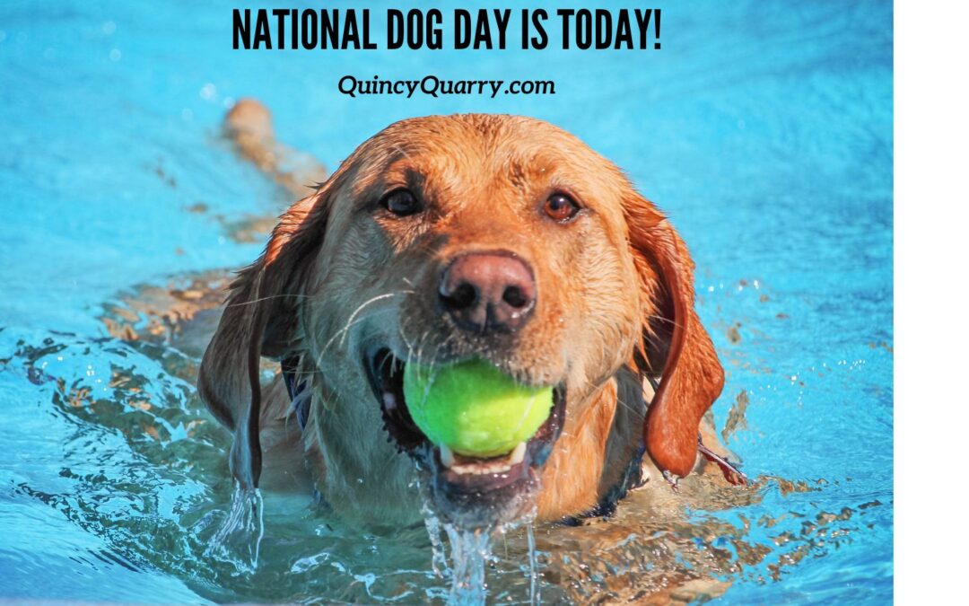 #NationalDogDay Is Today