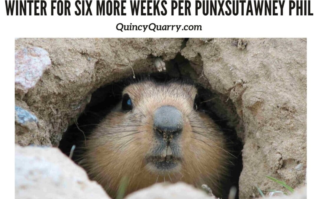 Winter for Six More Weeks Per Punxsutawney Phil