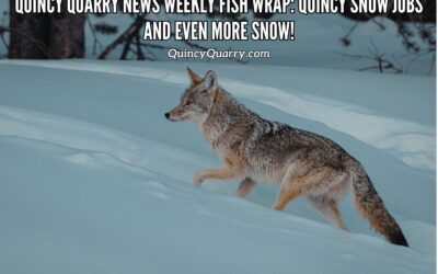 #QuincyQuarryNews #WeeklyFishWrap: Quincy Snow Jobs And Even More Snow!